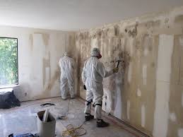 Best Asbestos and Lead Testing During Mold Inspection  in Lewisport, KY